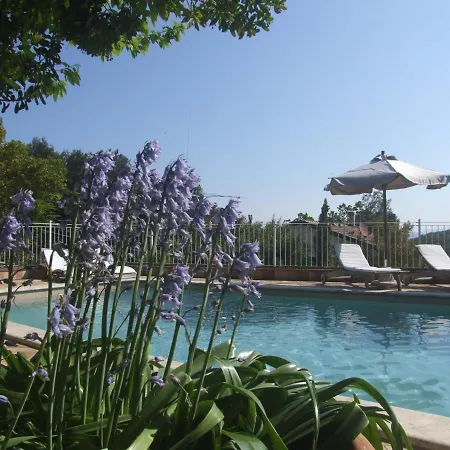 Apartment Vacanze Toscane In The Country *